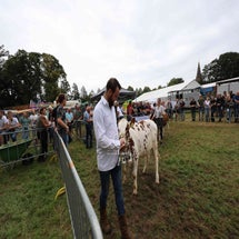 4t9a8227_resultaat-standard.jpg