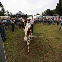 4t9a8228_resultaat-standard.jpg
