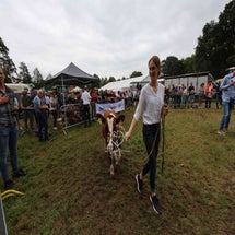 4t9a8229_resultaat-standard.jpg
