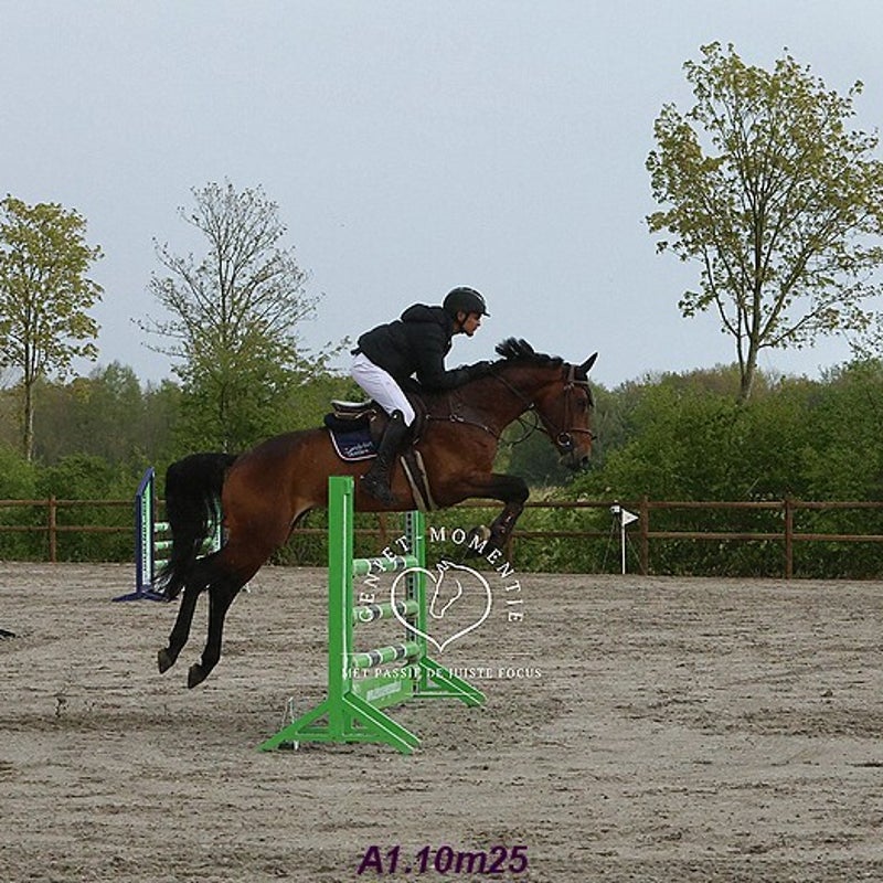 4t9a8230_resultaat-bordermaker-standard.jpg