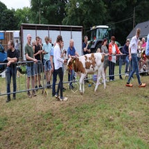 4t9a8232_resultaat-standard.jpg