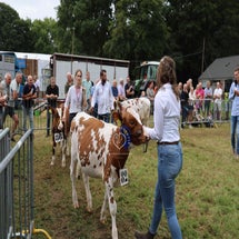 4t9a8235_resultaat-standard.jpg
