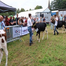 4t9a8237_resultaat-standard.jpg