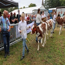 4t9a8240_resultaat-standard-smbttn.jpg