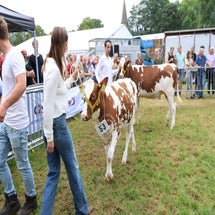 4t9a8241_resultaat-standard.jpg