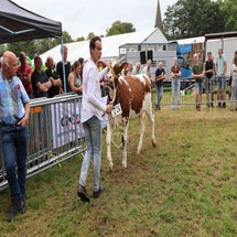 4t9a8242_resultaat-standard.jpg