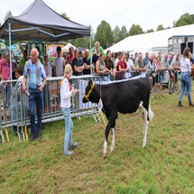 4t9a8244_resultaat-standard.jpg