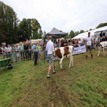 4t9a8246_resultaat-standard.jpg