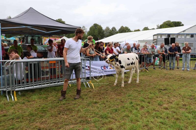 4t9a8247_resultaat-standard.jpg