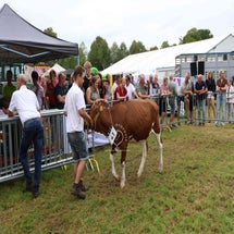 4t9a8248_resultaat-standard.jpg