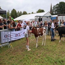 4t9a8249_resultaat-standard.jpg