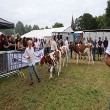 4t9a8251_resultaat-standard.jpg