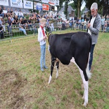 4t9a8254_resultaat-standard.jpg