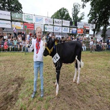 4t9a8263_resultaat-standard.jpg