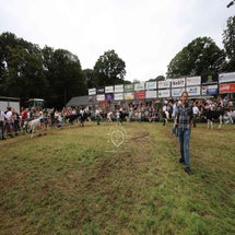 4t9a8268_resultaat-standard.jpg