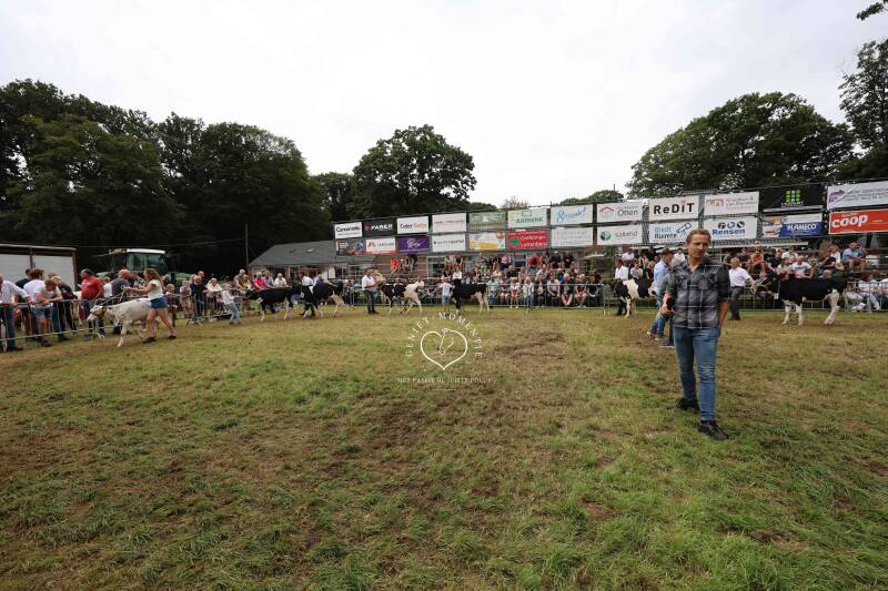 4t9a8268_resultaat-standard.jpg