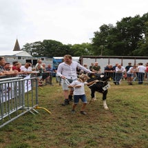 4t9a8270_resultaat-standard.jpg