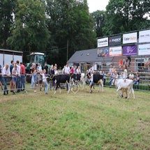 4t9a8272_resultaat-standard.jpg