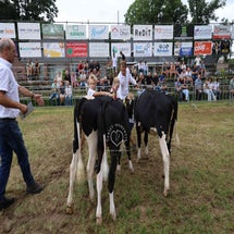 4t9a8273_resultaat-standard.jpg