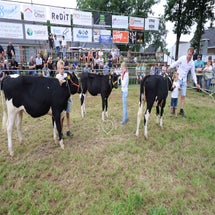 4t9a8275_resultaat-standard.jpg