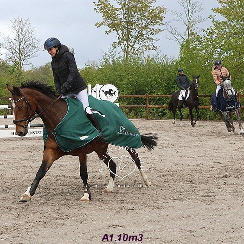 4t9a8279_resultaat-bordermaker-standard.jpg