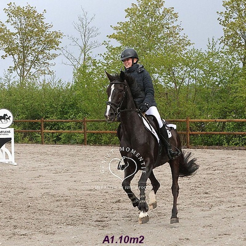 4t9a8285_resultaat-bordermaker-standard.jpg