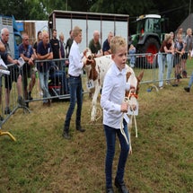 4t9a8298_resultaat-standard.jpg