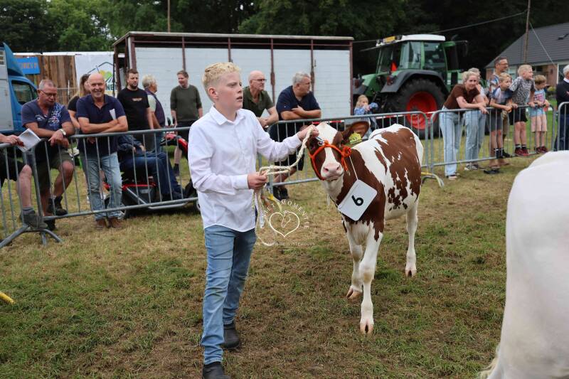 4t9a8299_resultaat-standard.jpg