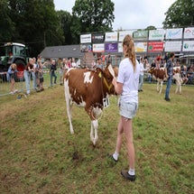 4t9a8301_resultaat-standard.jpg