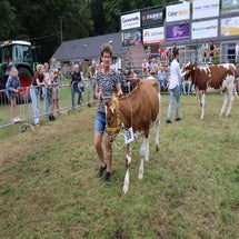 4t9a8302_resultaat-standard.jpg