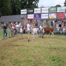 4t9a8303_resultaat-standard.jpg