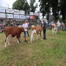 4t9a8305_resultaat-standard.jpg