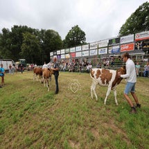 4t9a8306_resultaat-standard.jpg