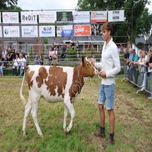 4t9a8307_resultaat-standard.jpg