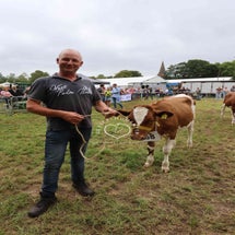 4t9a8321_resultaat-standard.jpg