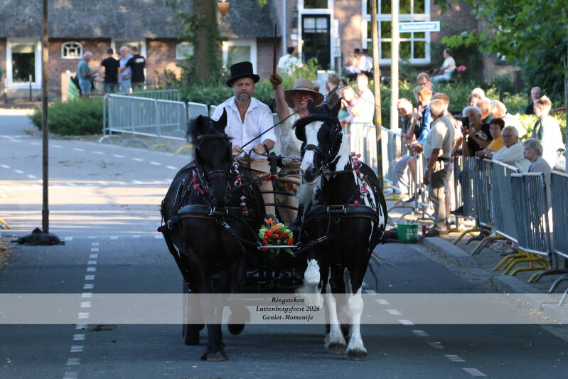 4t9a8324_resultaat-standard-suxy70.jpg
