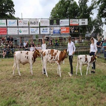 4t9a8331_resultaat-standard.jpg