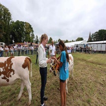4t9a8334_resultaat-standard.jpg