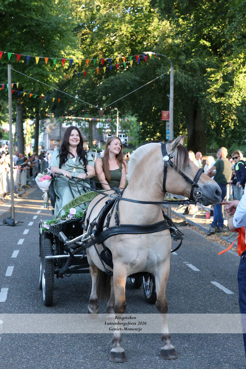 4t9a8345_resultaat-standard.jpg