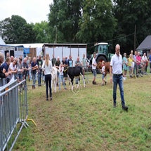 4t9a8347_resultaat-standard.jpg