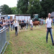 4t9a8348_resultaat-standard.jpg