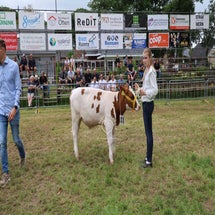 4t9a8349_resultaat-standard.jpg
