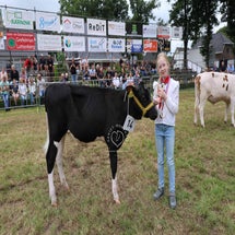 4t9a8350_resultaat-standard.jpg