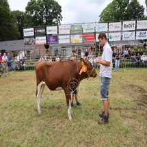 4t9a8352_resultaat-standard.jpg