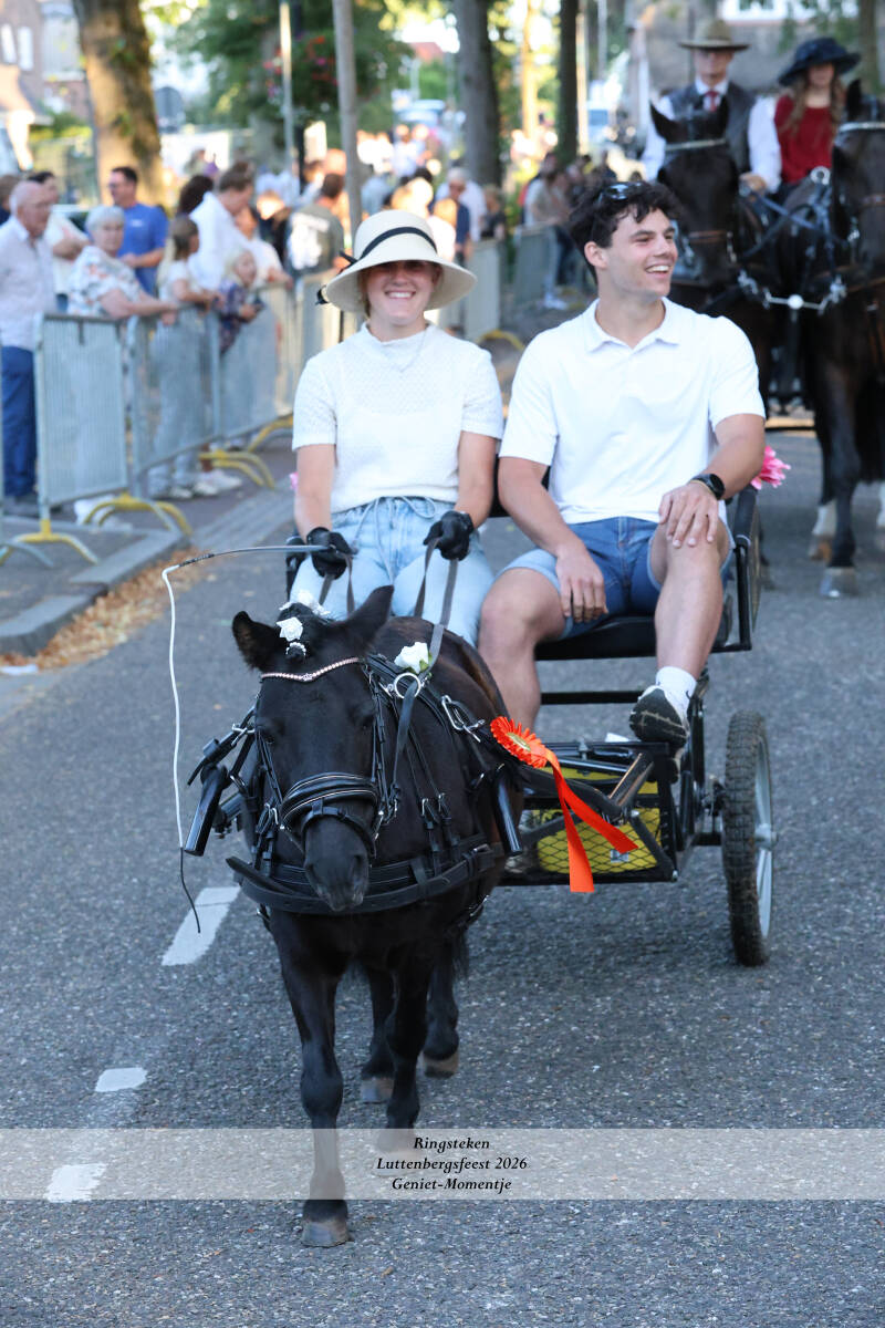 4t9a8356_resultaat-standard.jpg