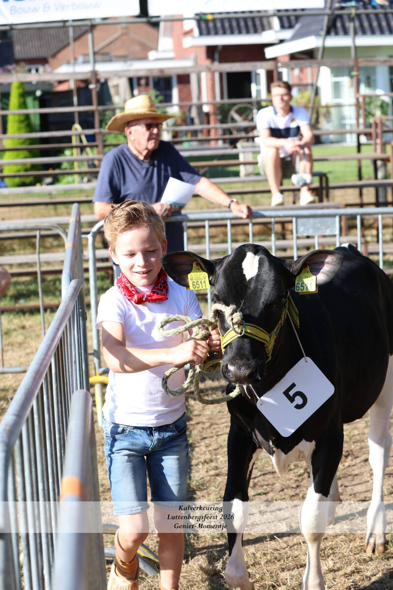 4t9a8845_resultaat-standard-xrbtsy.jpg