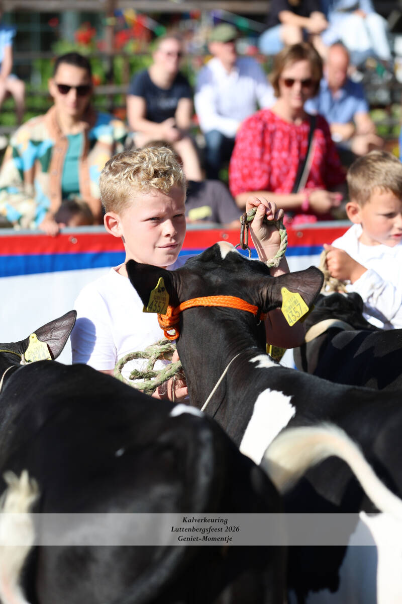 4t9a8858_resultaat-standard-ddtgat.jpg