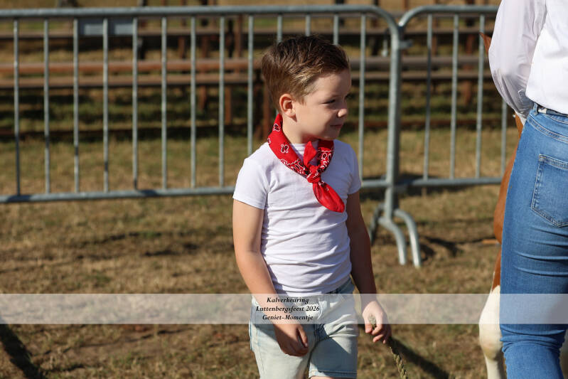 4t9a8882_resultaat-standard-buzpd5.jpg