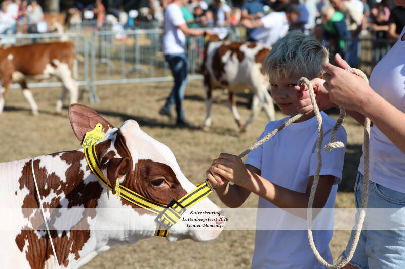 4t9a8895_resultaat-standard-ex22jl.jpg