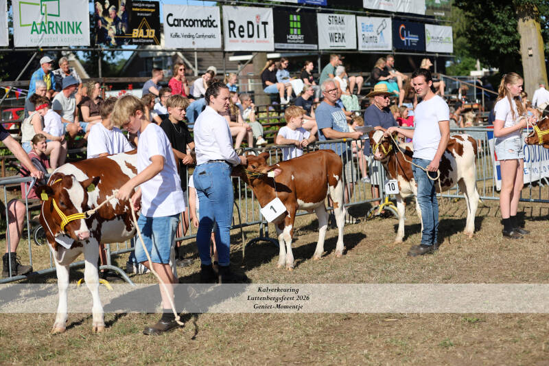 4t9a8897_resultaat-standard-1drh8s.jpg